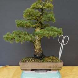 P1030867