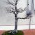 ACER4-B