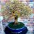 SmartSelect_20240314-120338_Facebook